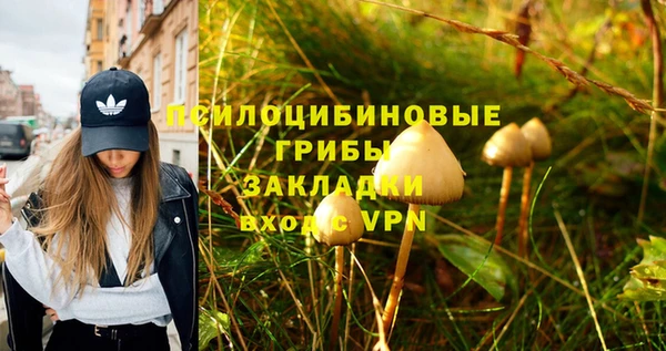 герыч Инта