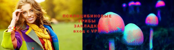 мяу мяу мука Иннополис