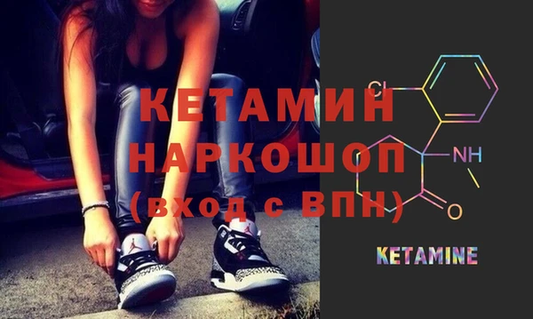 индика Инсар